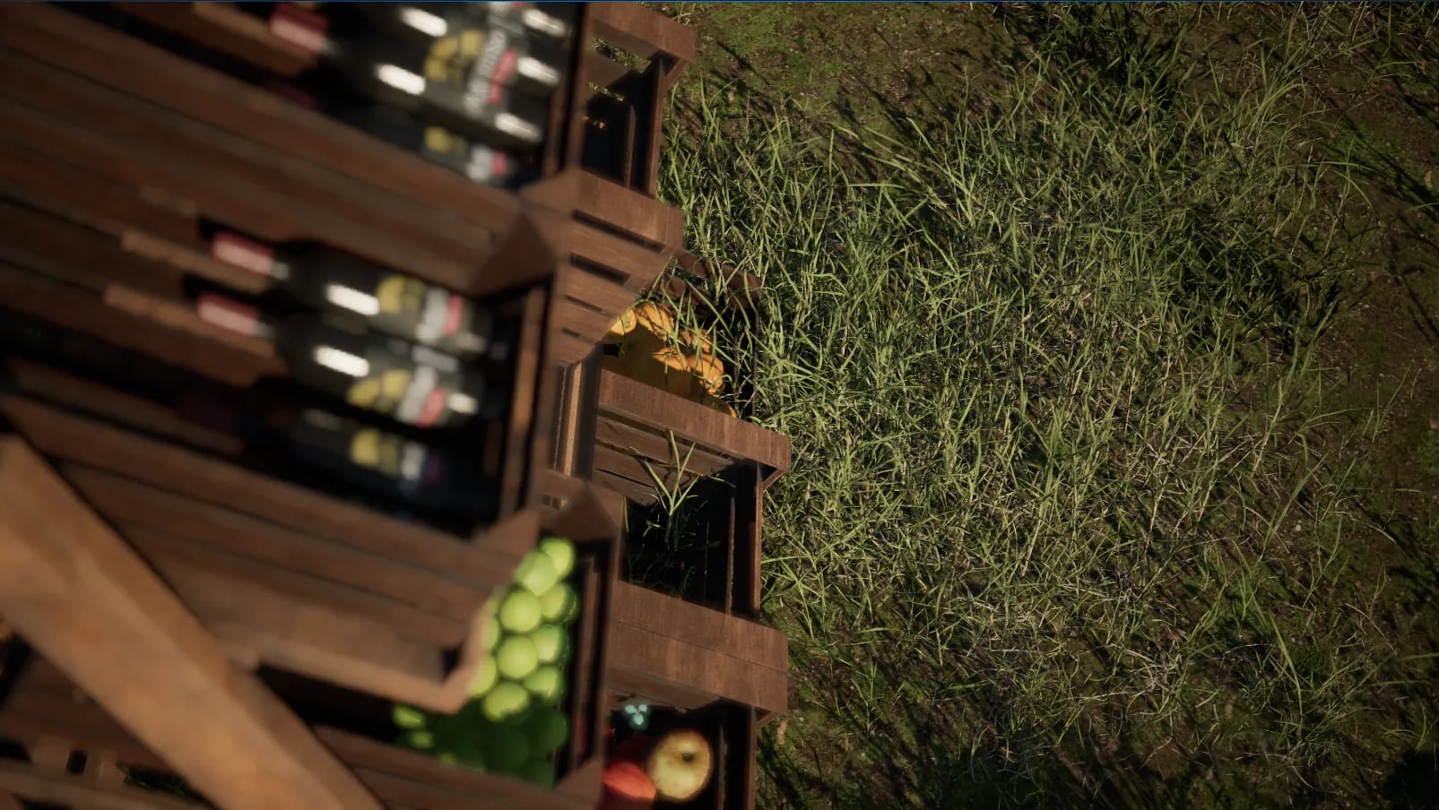 Showcase 49